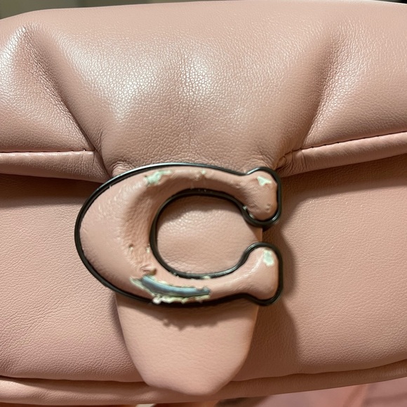 Coach pillow tabby - Picture 2 of 9